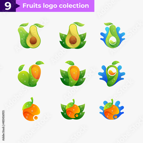 Fruits colorful collection logo concept