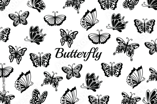 Set of Collection pretty Butterfly butterflies Animal Hand Drawn illustration