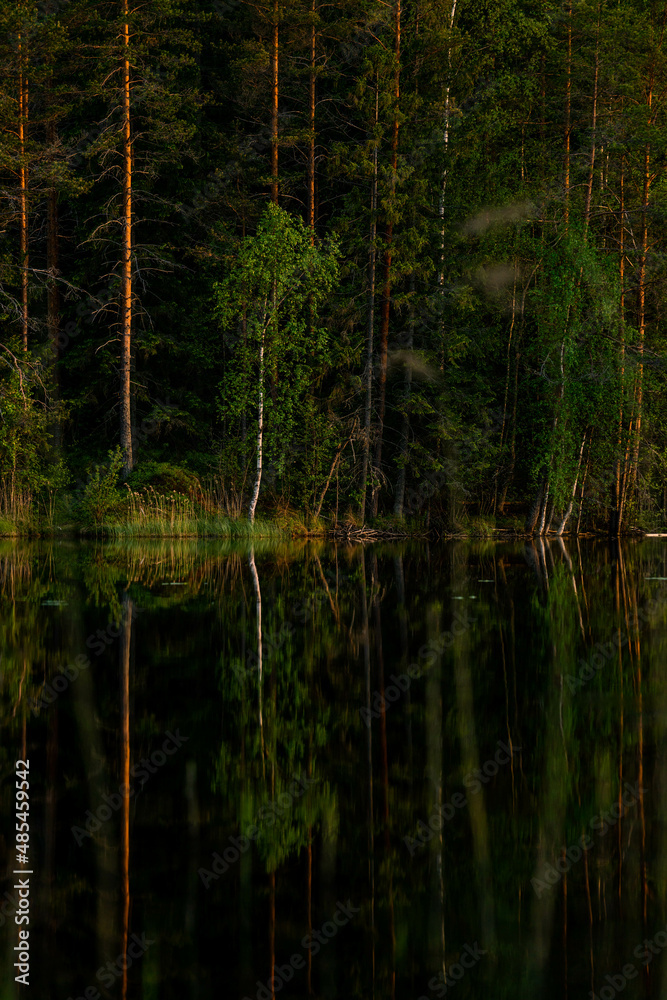 Lake forest silhouette in Finnish summer sunrise Lake forest silhouette in Finnish summer sunrise