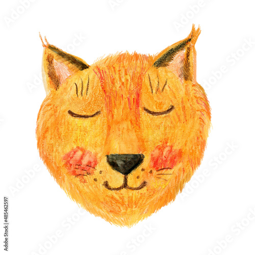 Cute cartoon fox, wild kid animal illustration, colorful mammal, funny forest foxxy isolated on background, decorative head cub, Education for children, character design, mascot zoo alphabet photo