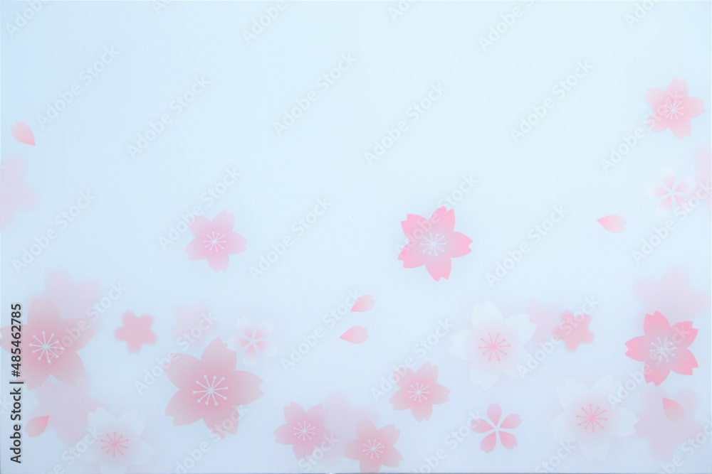 cherry blossoms on a white background