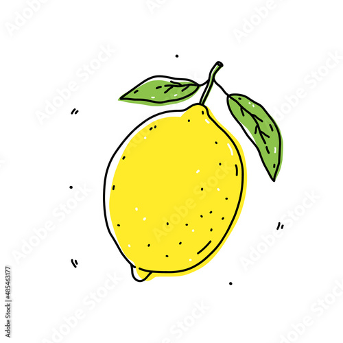 Yellow lemon isolated on white background. Fresh citrus fruit. Vector hand-drawn illustration in doodle style. Perfect for cards, logo, decorations, recipes, various designs.