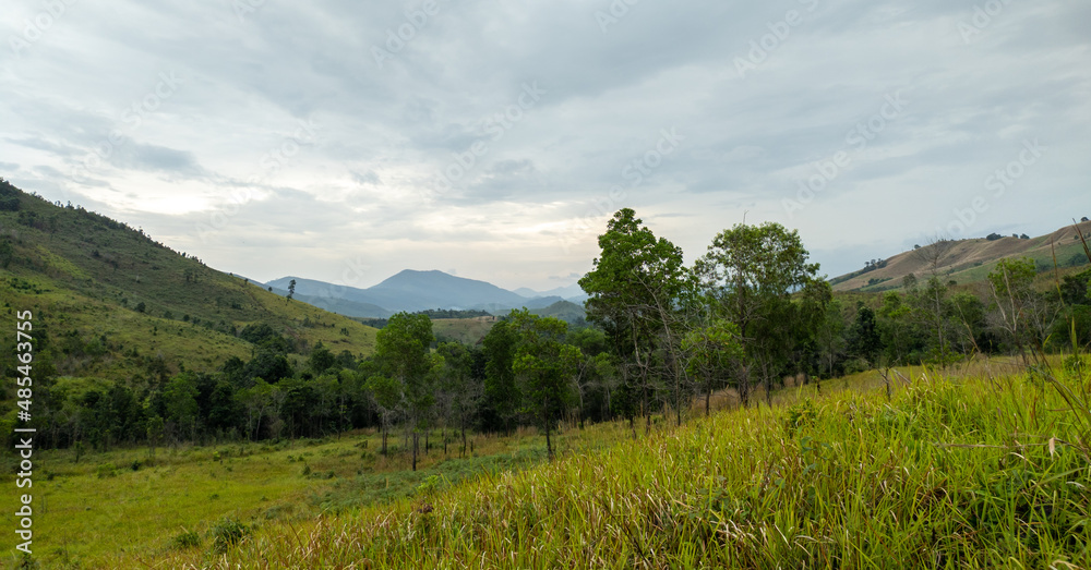 Panorama of the Borneo Mountains in summer