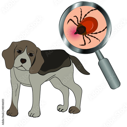 The dog does not feel well after being bitten by a tick. Tick ​​season, dog grooming. Vector illustration
