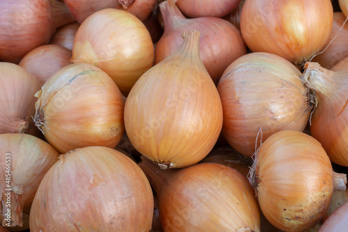Onion close up. Heap of bulbs  fresh harvest of onions.