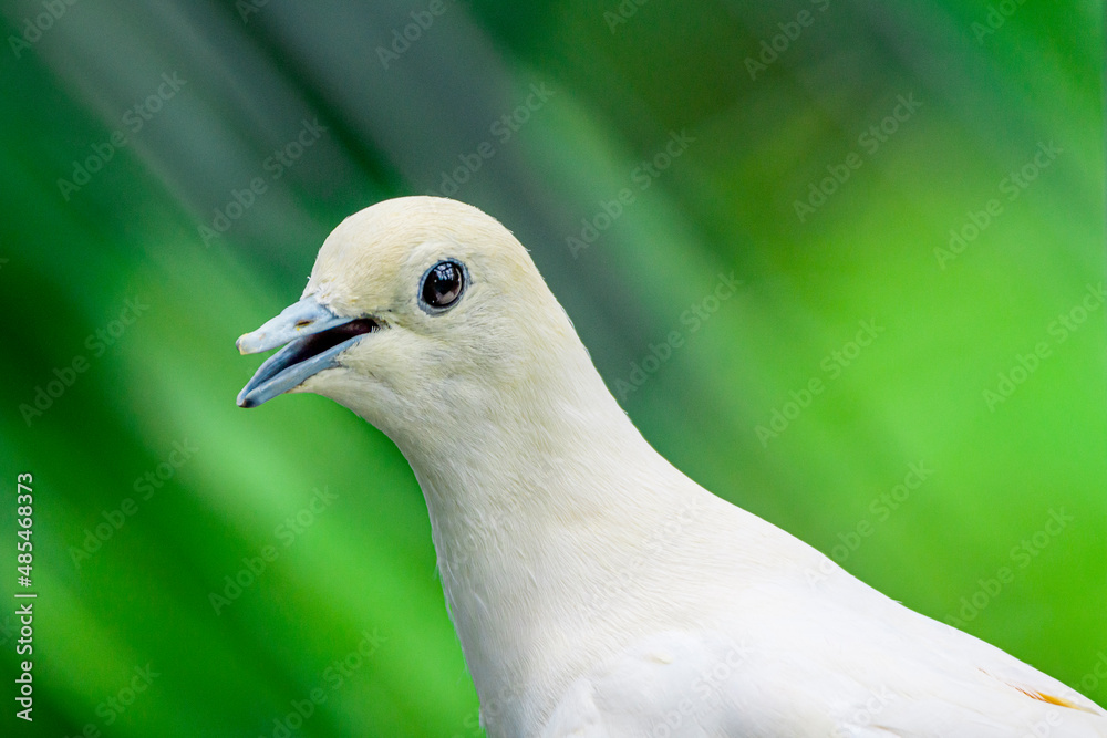 Obraz premium creative