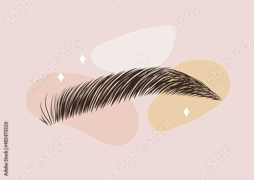 Brow studio logo. Sable style eyebrows. Permanent make-up and lamination. Linear vector Illustration in trendy minimalist style.