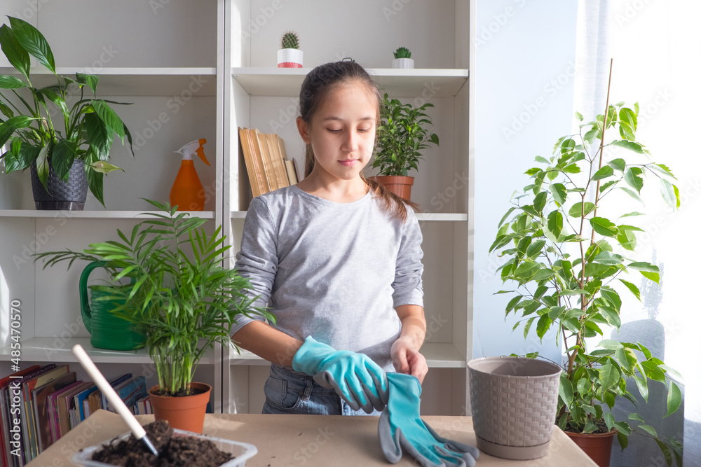 Teenager girl looks after, transplants flowers, puts on gloves. Home garden concept.