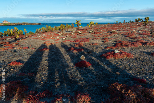 Tourist shadows looking over Galapagos South Plaza island landscape at sunset with prickly pear cactus and red sesuvium plants, Galapagos national park, Ecuador. photo