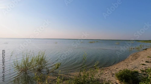 The coast of the lake Seletz in Belarus, Brest district.Summer 2021