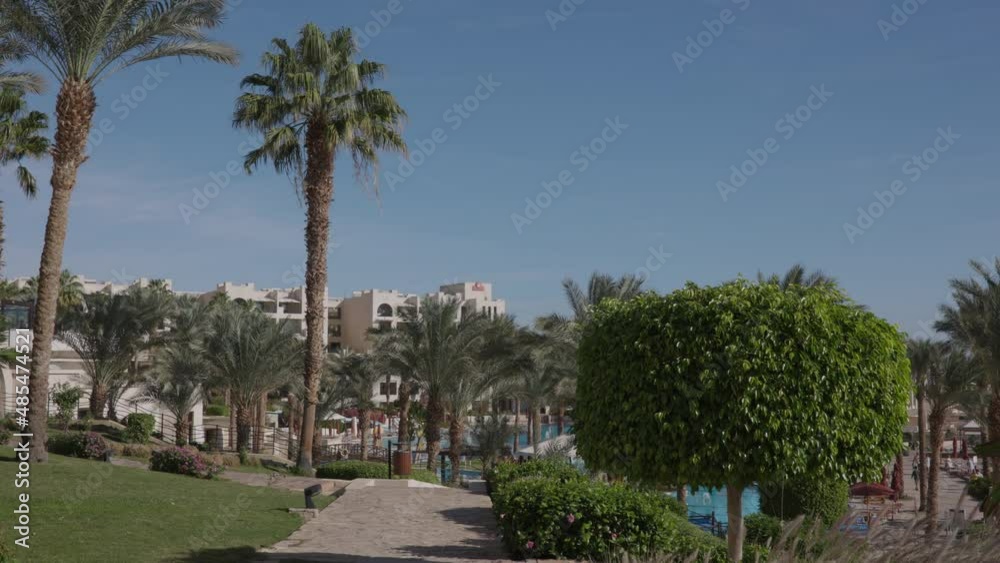 Palm Trees on a blue sky background. Slow Motion, Looking Up on a sunny day Palm Trees on a blue sky background. Slow Motion, Looking Up on a sunny day