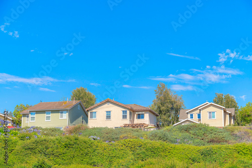 Wallpaper Mural Three houses on top of a green slope with flowers at Ladera Ranch in California Torontodigital.ca