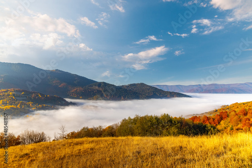 Highland with giant forestry mountains surrounded by fog