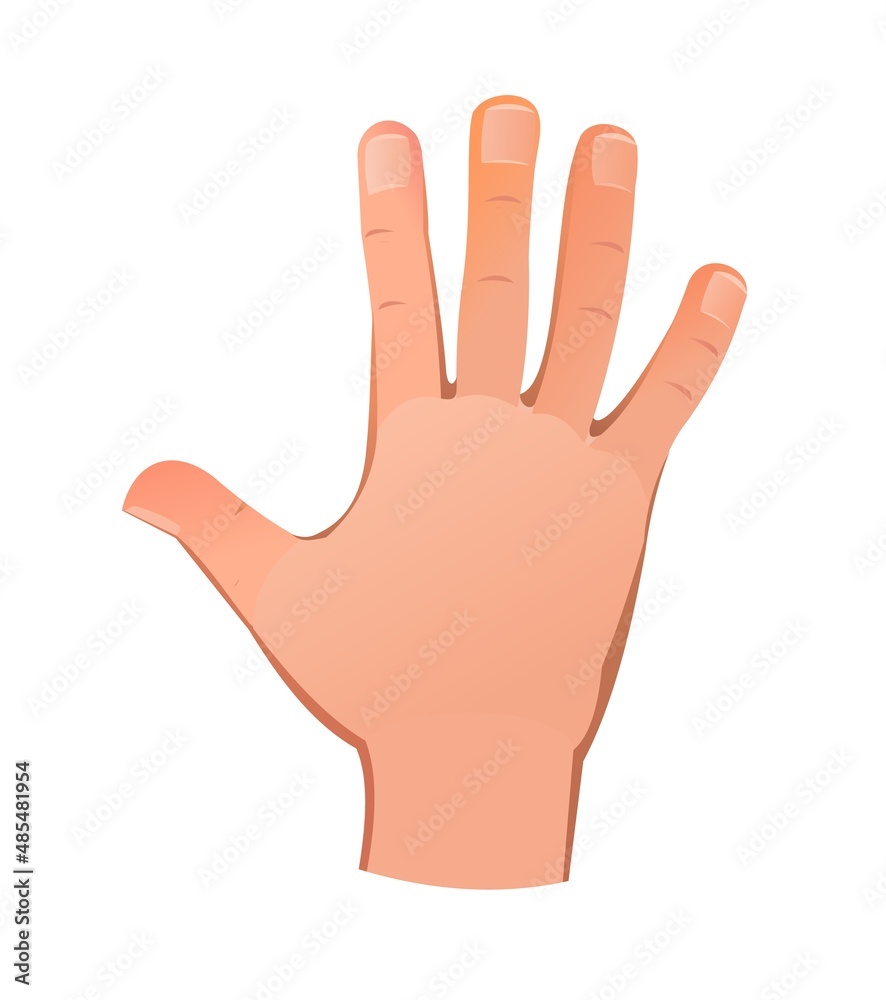 Hand raised up with five finger. Object isolated on white background. Funny cartoon style. Vector