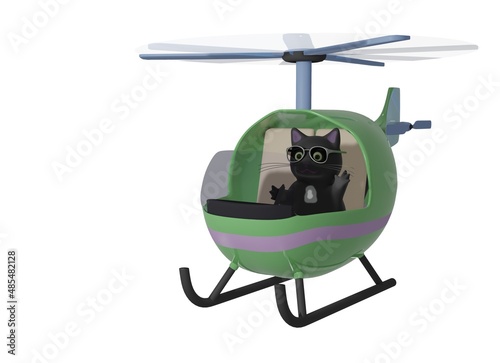 Cat and Helicopter