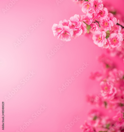 rose red peach blossom fashion promotion poster © Lili.Q