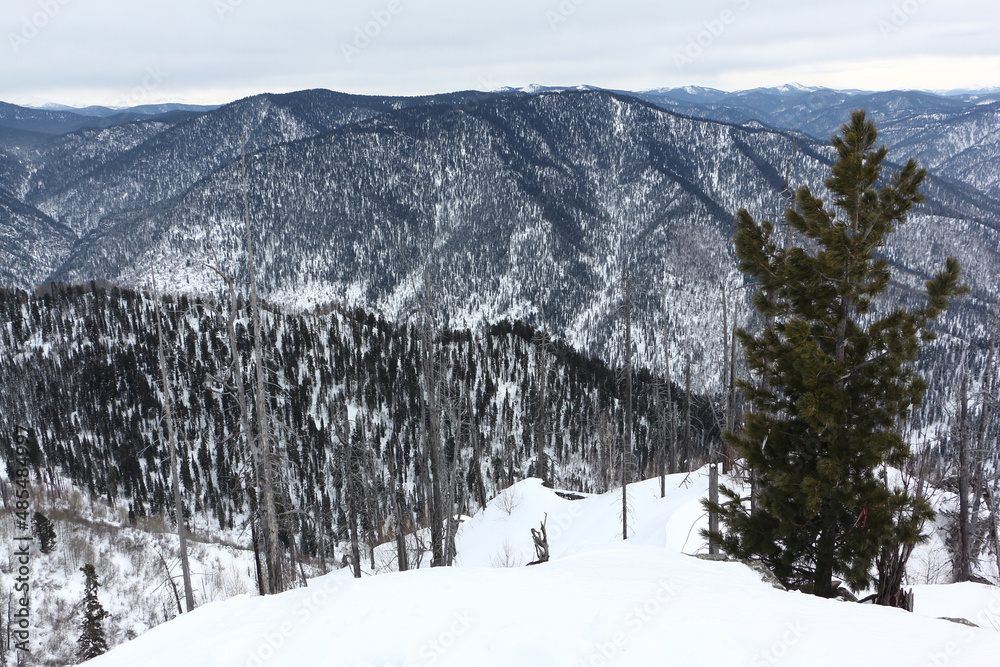 Fototapeta premium Teletsky ski resort, view from Mount Kokuya, Republic Altai, Russia