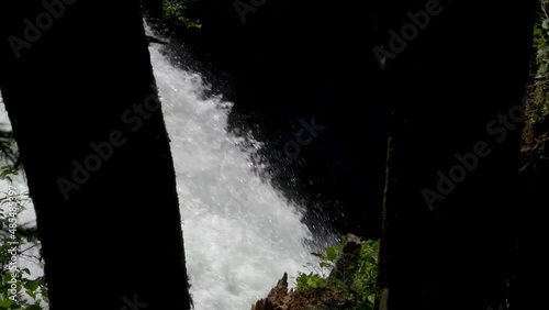 Strong Flowing Water Of Nooksack Falls Behind Silhouetted Trunks Of Trees In Whatcom County, Washington State. Close Up photo