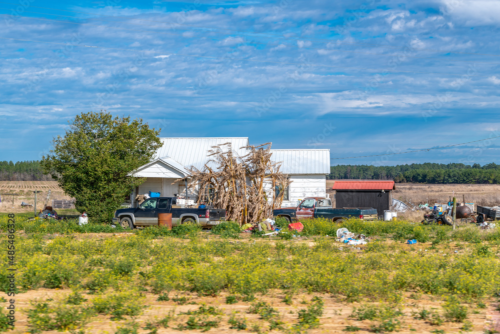 Fototapeta premium CREATIVE