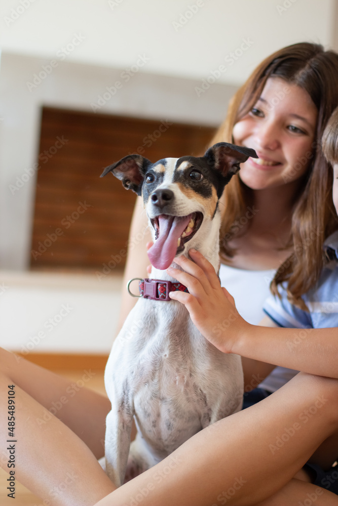 Portrait of pleased siblings hugging dog. Teenage girl sitting on floor with white puppy, smiling. Brothers hands petting dog. Pet, love, childhood concept