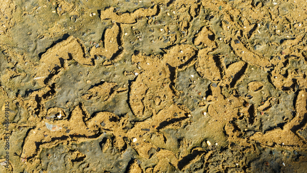 Pattern in the textured surface of the mud flat 