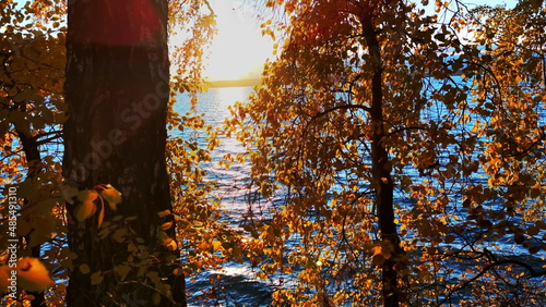 Colors of golden autumn painted the leaves of the trees with lake on background. Media. Beautiful sunset.