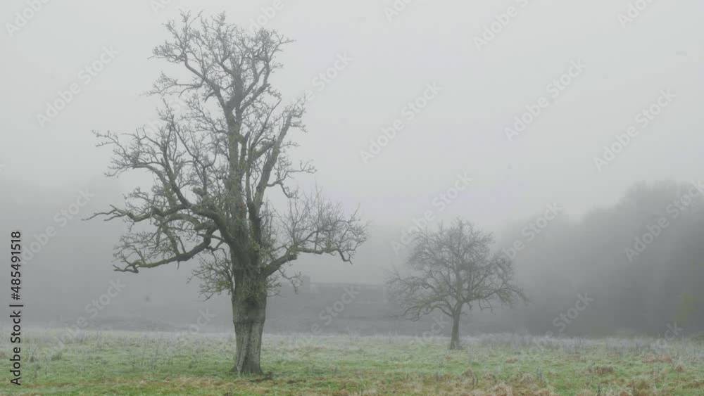 4K Landscape cinematic nature still shot of a field in the fog, in the middle of the French countryside of Normandy. 4K Landscape cinematic nature still shot of a field in the fog, in the middle of the French countryside of Normandy.