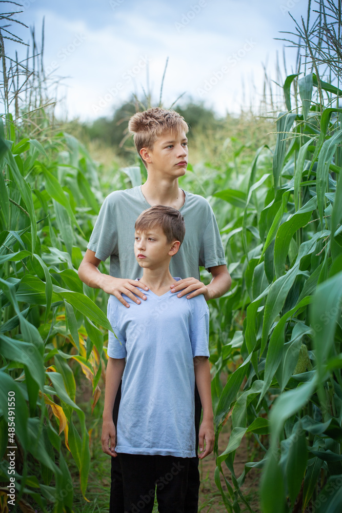 Two brothers in a field in the countryside with green plants maize in summer. Two brothers in a field in the countryside with green plants maize in summer.