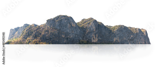 ock mountain hill with green forest isolate on white background