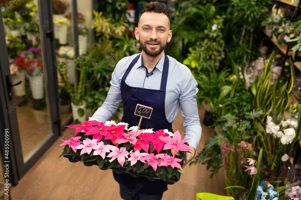 Fototapeta premium botanist against the background of the garden center with a tray of potted plants in his hands