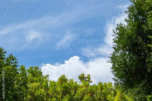 Fototapeta Naklejka Na Ścianę i Meble -  Clouds and blue skies the height of the summer season