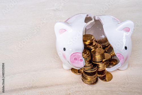 Piggy bank with smashed and there were many coins on the table in the garden, Use emergency funds and saving money for business Investment and spending concept.