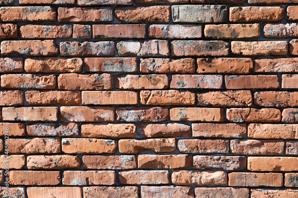 Obraz premium 煉瓦の壁