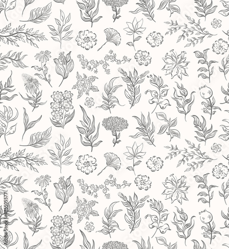 Seamless pattern plant nature hand drawn set. Outline botanical element.Elegante vintage style.