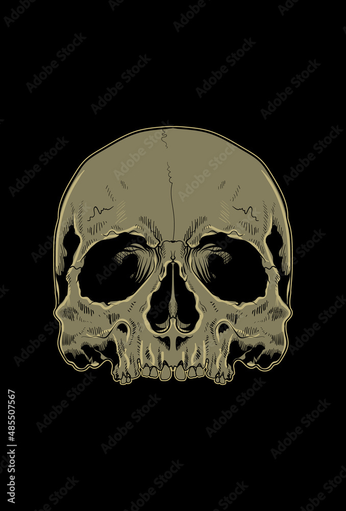 Head skull artwork vector illustration