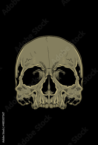 Head skull artwork vector illustration