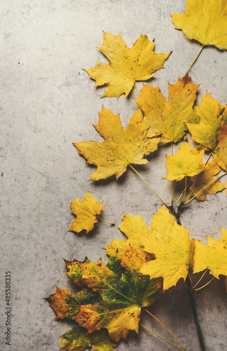 Yellow autumn leaves at grey concrete table. Seasonal autumn background with colored leaves. Top view. © VICUSCHKA