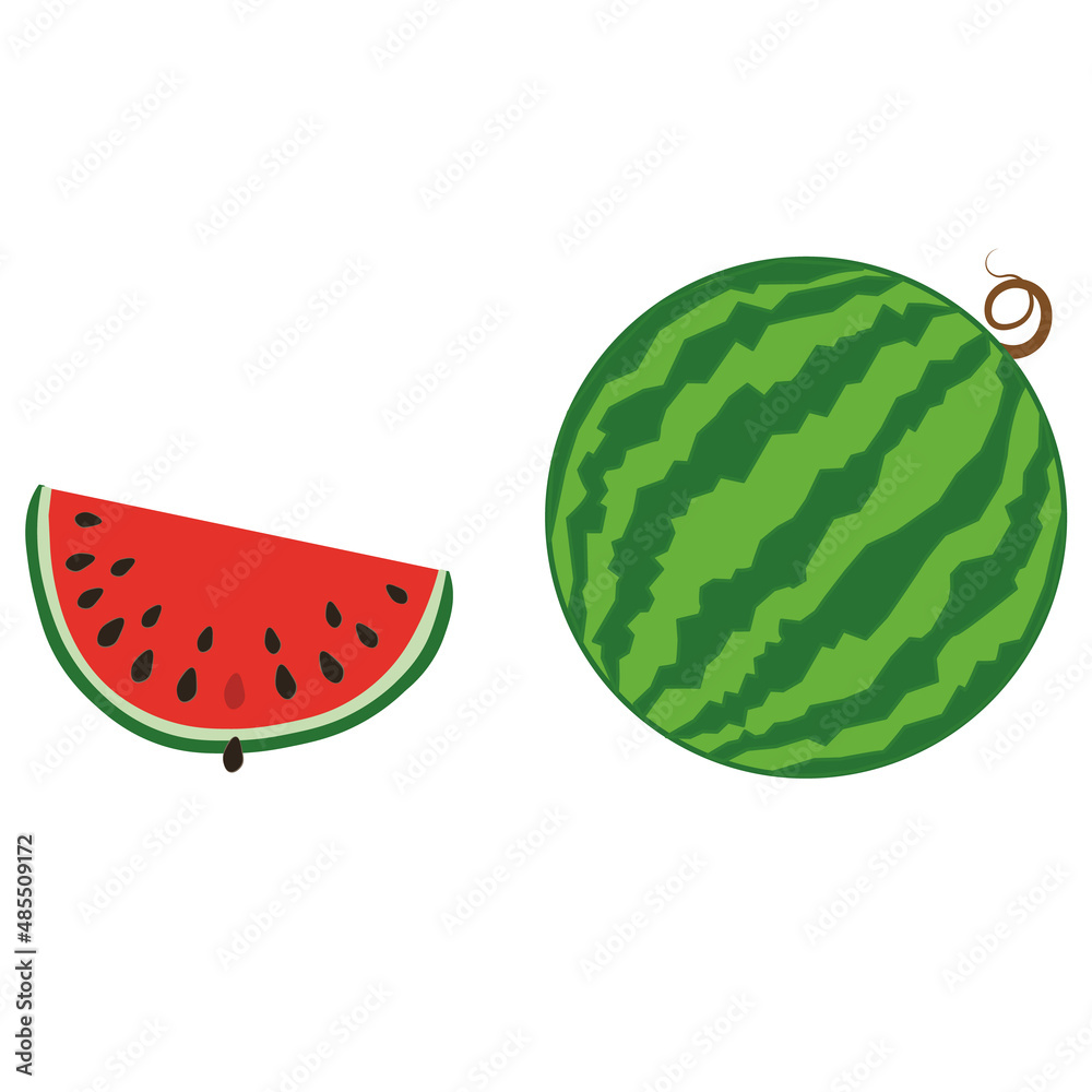 Striped ripe watermelon and cut red slice