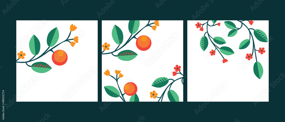 Three vector backgrounds
