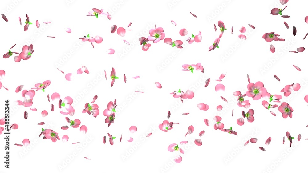 Cherry blossoms on white background.
3D illustration for background. Cherry blossoms on white background.
3D illustration for background.