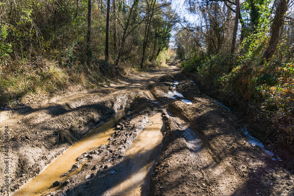 Muddy road with 4x4 car treads in the forest Muddy road with 4x4 car treads in the forest