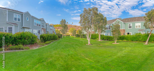 Lawn in the middle of a residential area with a view of the mountain at Carlsbad, San Diego, CA photo