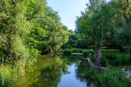 Idyllische Auwald-Landschaft an den Isar in Niederbayern