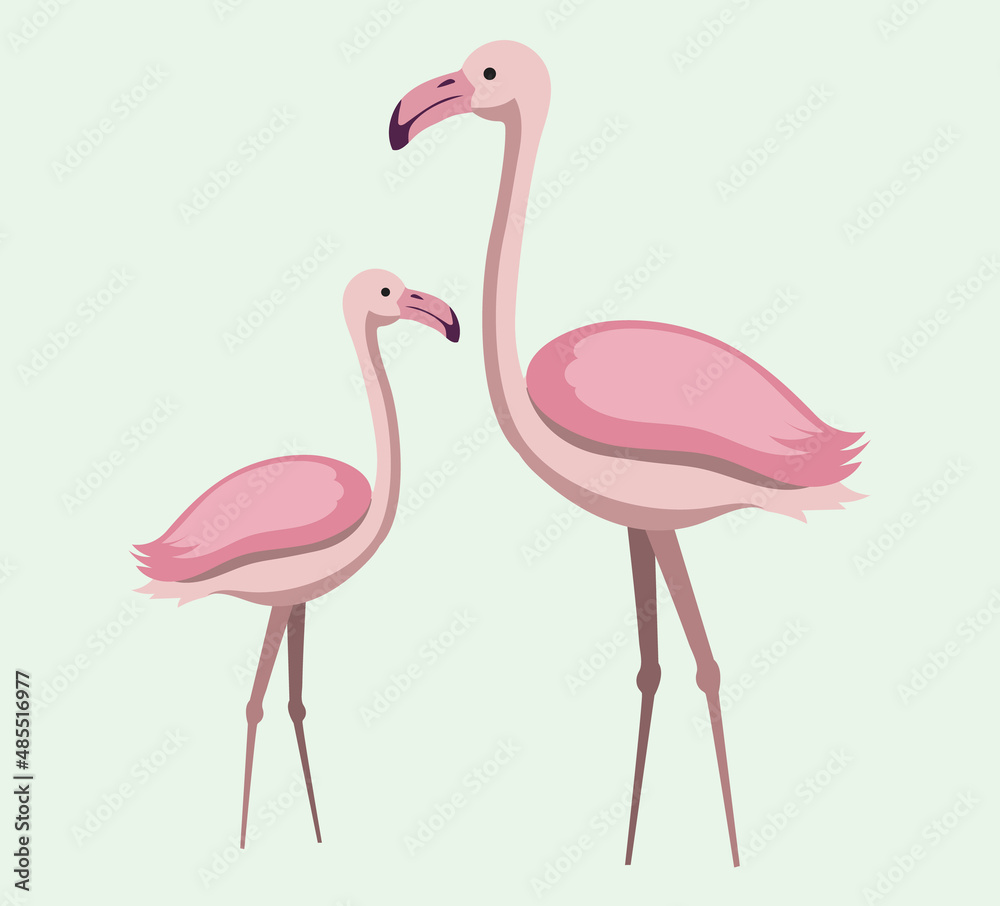 Fototapeta premium Two pink flamingo set. Exotic tropical bird. Zoo animal collection. Cute cartoon characters mother flamingo and chick, beautiful wildlife, excellent representatives of decorative birds on long legs