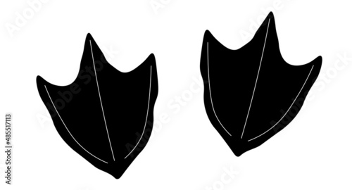 Duck footprint track. Vector bird steps in black color