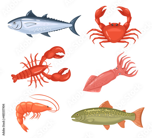 Cartoon seafood. Fresh fish, lobster, crab and red tuna. Raw products for shop or restaurant. Healthy food as shrimps and squids for delicacy dishes. Aquatic creatures for market vector set