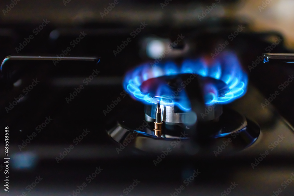 Gas burning from a kitchen gas stove at home.Gas flame with blue reflection.Close-up,selective focus. Gas burning from a kitchen gas stove at home.Gas flame with blue reflection.Close-up,selective focus.