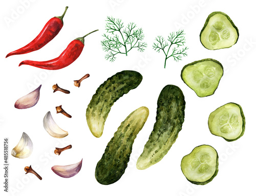 Pickled cucumbers, spices and garlic on a white background
