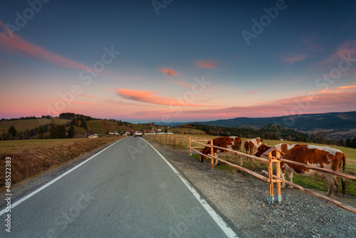 Fototapeta Naklejka Na Ścianę i Meble -  Beautiful sunset on the meadow under the Tatra Mountains at autumn. Poland