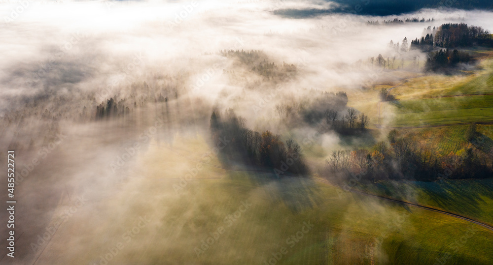 Drone view of autumn forest shrouded in thick morning fog Drone view of autumn forest shrouded in thick morning fog